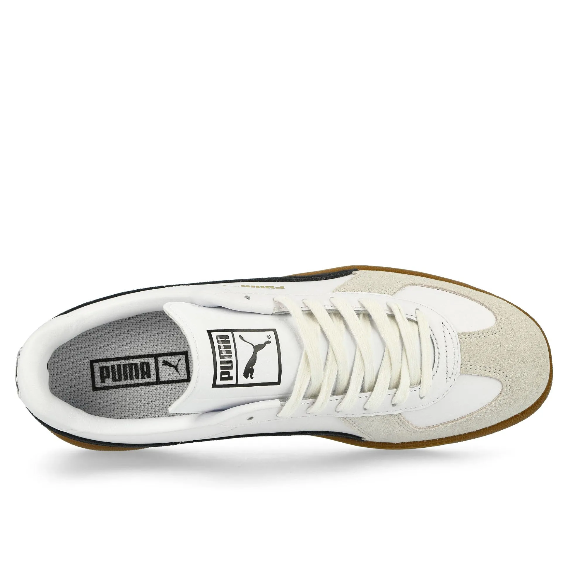 Shop Army Trainer Women Low Tops|The Classics