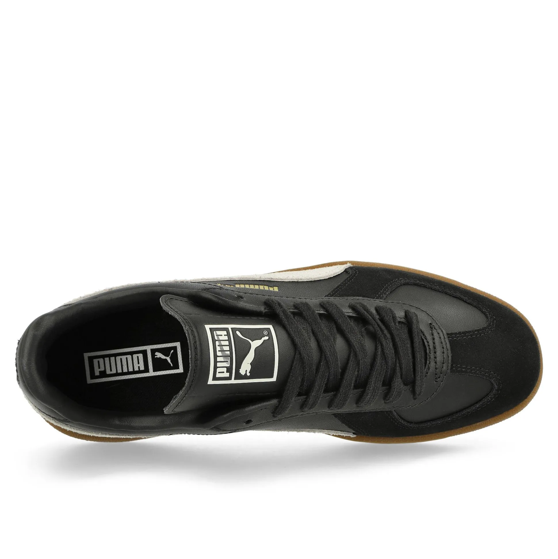 Cheap Army Trainer Women Low Tops|The Classics