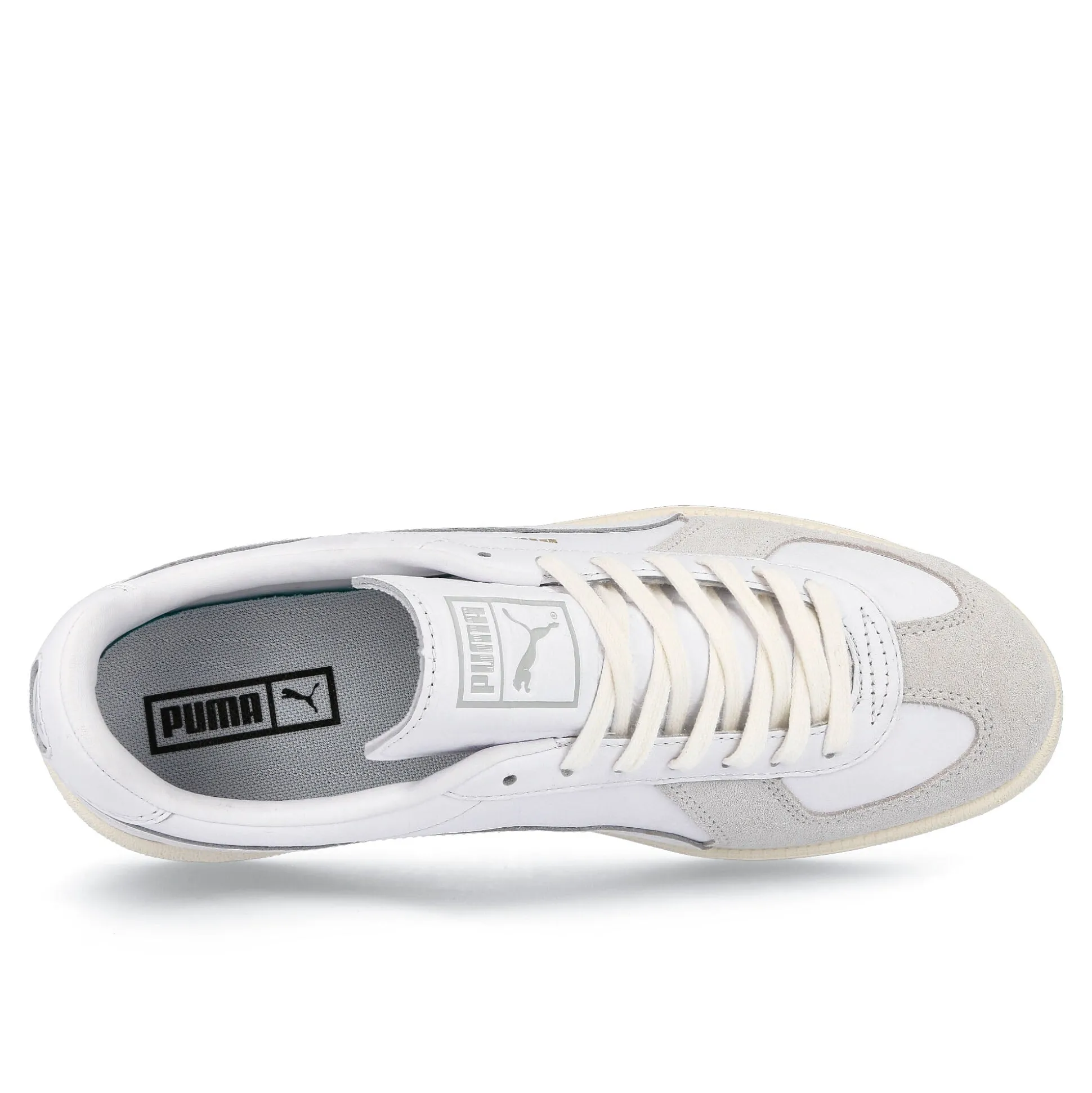 Hot army trainer og Low Tops|The Classics