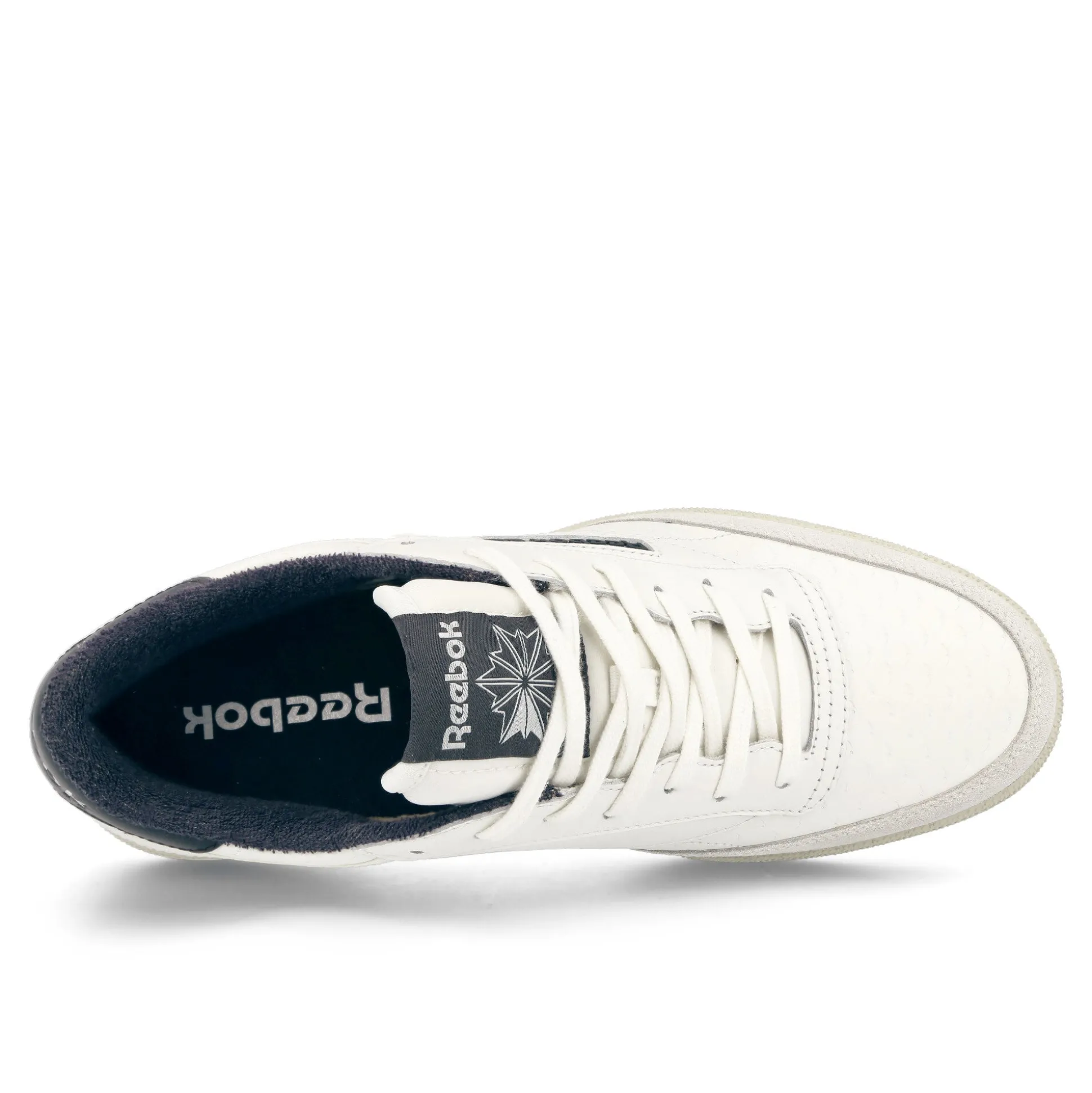 Fashion Club C Low Tops|Basketball & Court