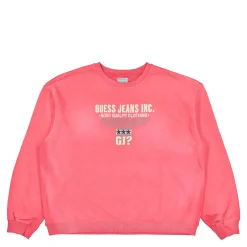 Flash Sale Crewneck Sweatshirt Sweatshirts & Hoodies