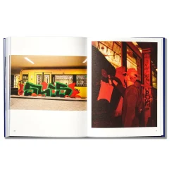 Online Depicting Recent Memories by the DRM Books