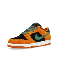 Best Dunk Low SP Women Low Tops|Basketball & Court
