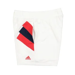 Store FC Arsenal Icon Shorts Pants & Shorts