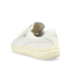 Store GV Special Low Tops|Basketball & Court
