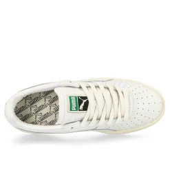 Store GV Special Low Tops|Basketball & Court