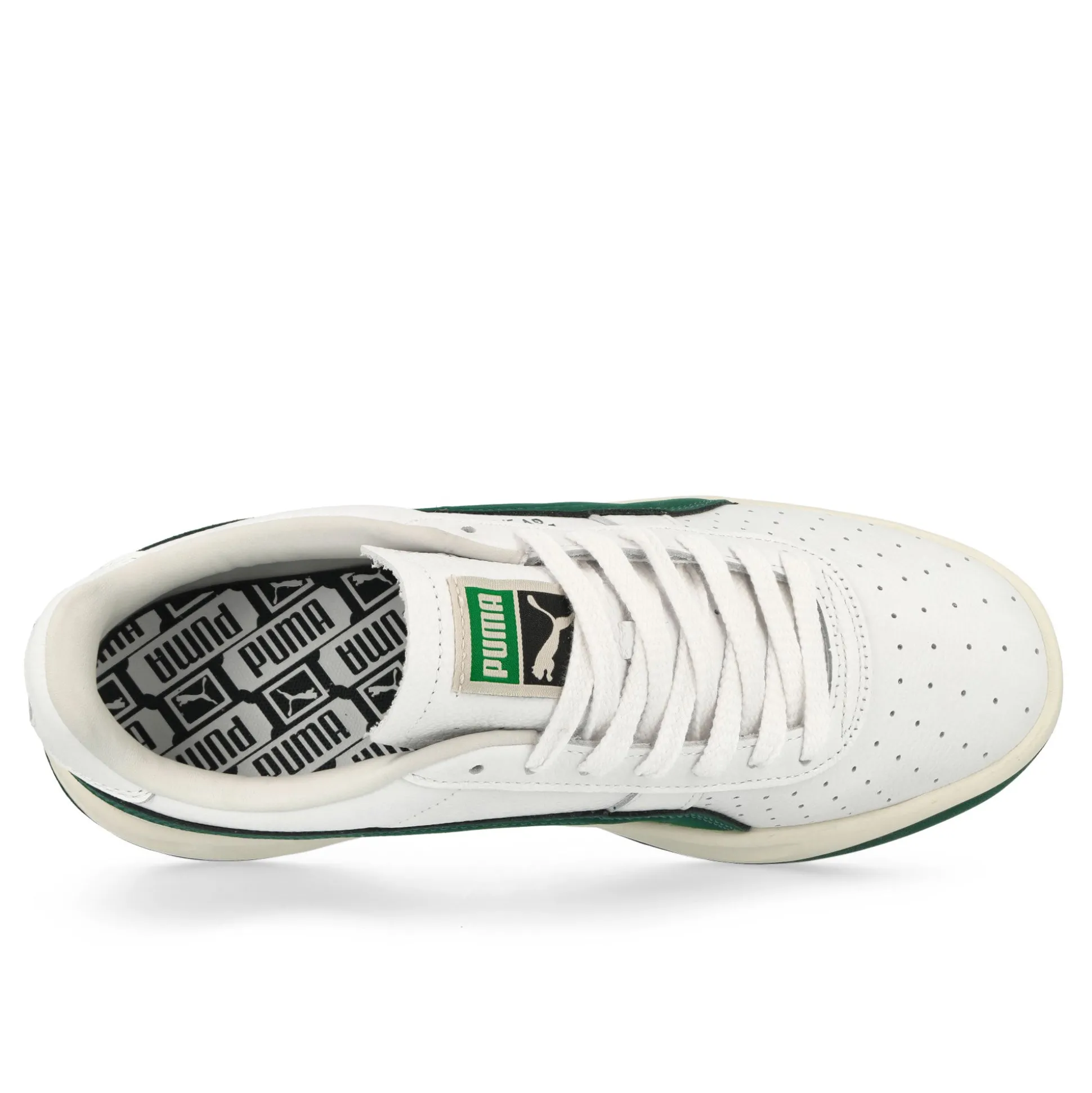 Online GV Special Base Low Tops|Basketball & Court