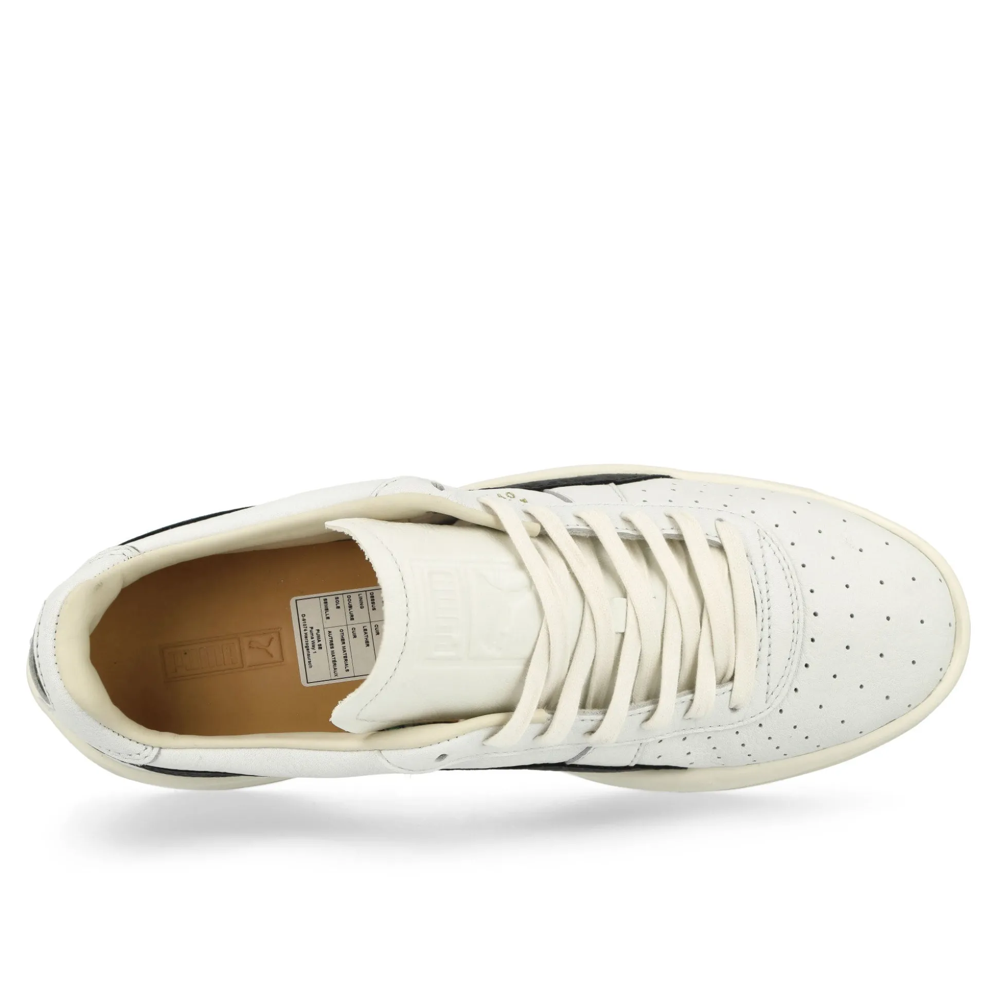 Clearance GV Special MII Low Tops|Basketball & Court