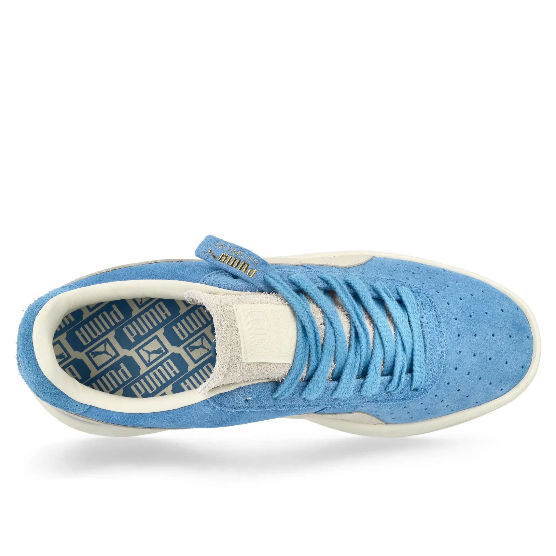 Fashion GV Special Suede Women Low Tops|Basketball & Court