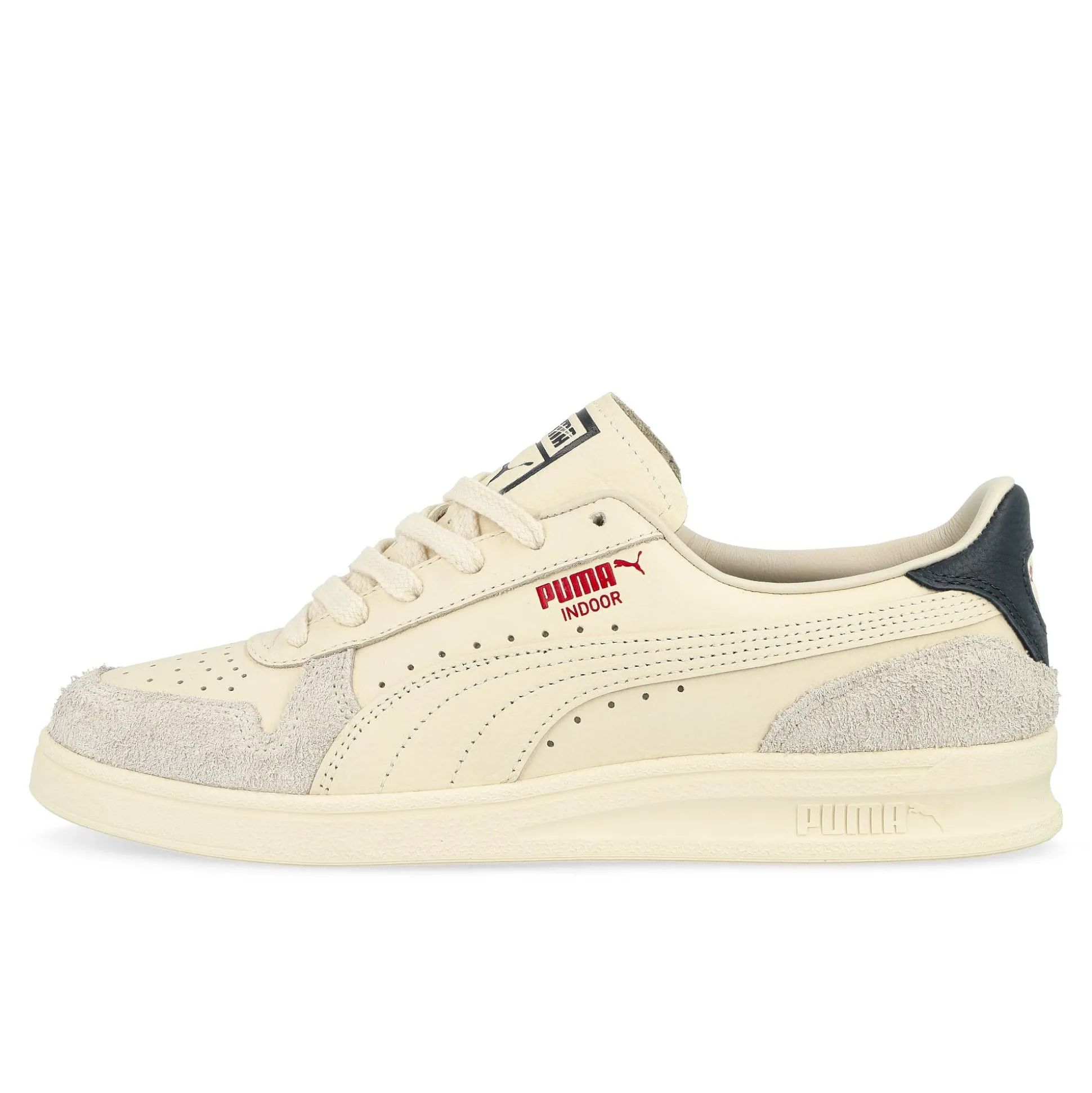 Best Indoor Women Low Tops|The Classics