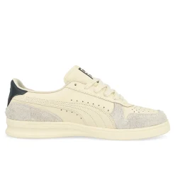 Best Indoor Women Low Tops|The Classics