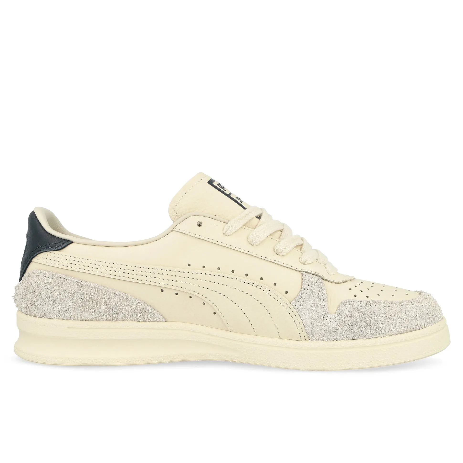 Best Indoor Women Low Tops|The Classics