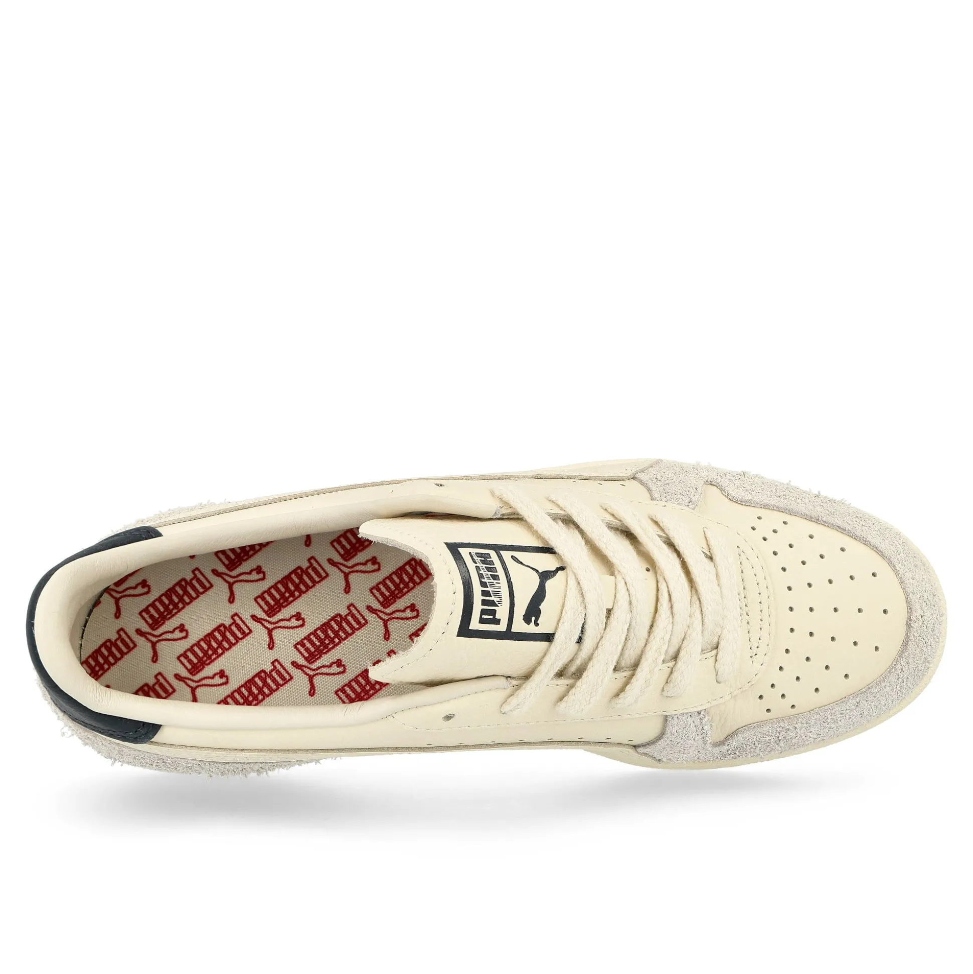 Best Indoor Women Low Tops|The Classics