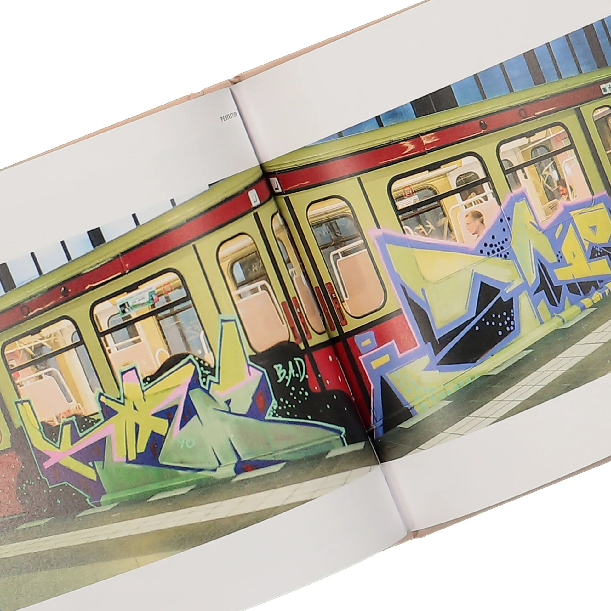 Fashion Metro // Star - The Memories That Remain Books