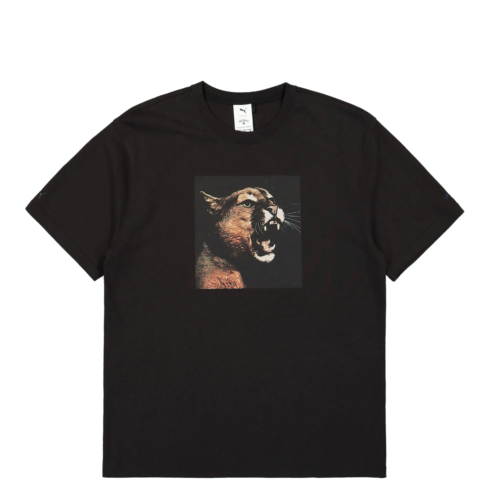 Flash Sale Photo Graphic Tee T-Shirts & Long Sleeves