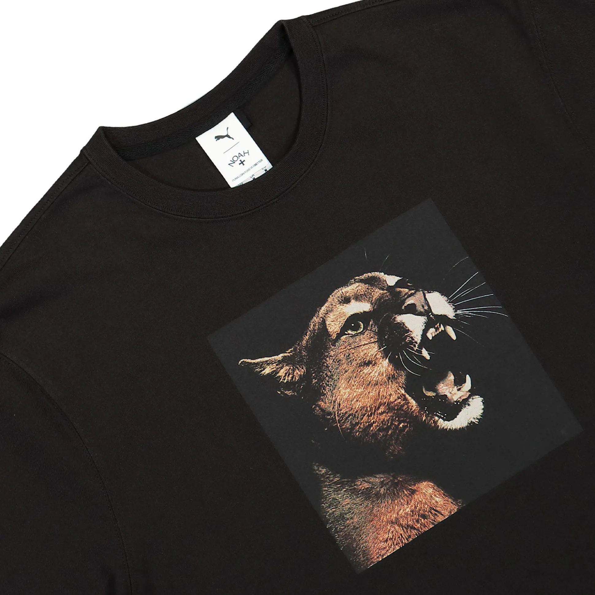 Flash Sale Photo Graphic Tee T-Shirts & Long Sleeves