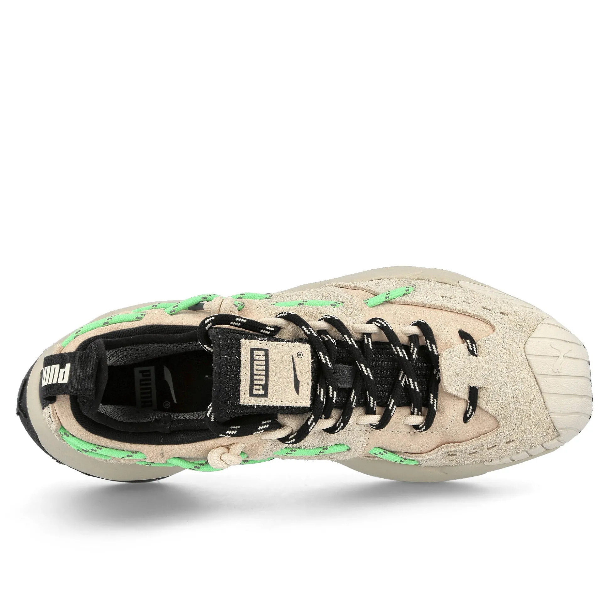 Best Plexus Elektro Green Low Tops