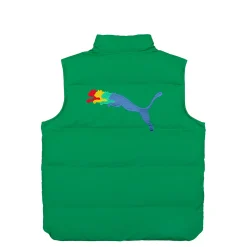 Best Primaloft Puffer Vest Vests