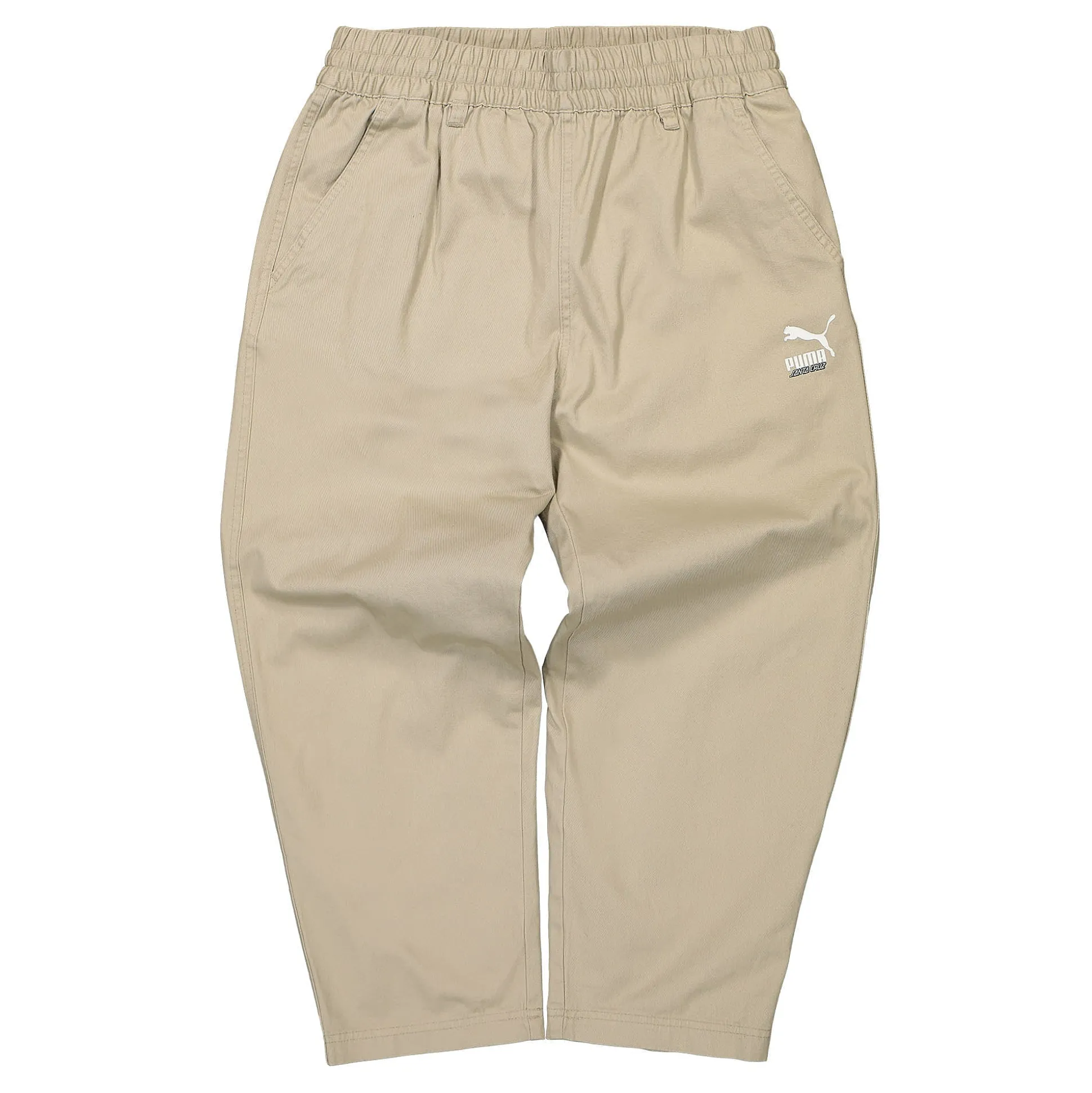 Best Santa Cruz x Twill Pants Pants & Shorts