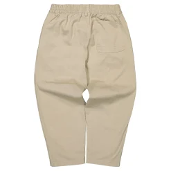 Best Santa Cruz x Twill Pants Pants & Shorts