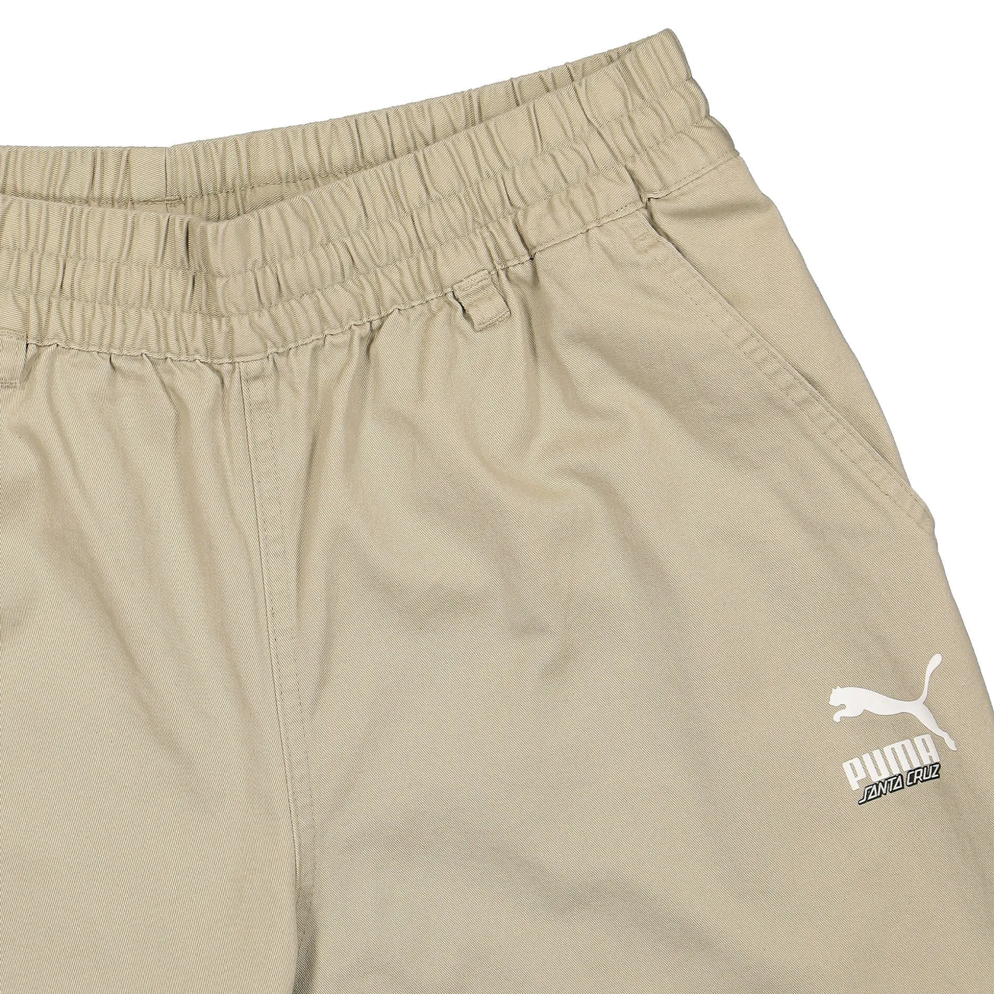 Best Santa Cruz x Twill Pants Pants & Shorts