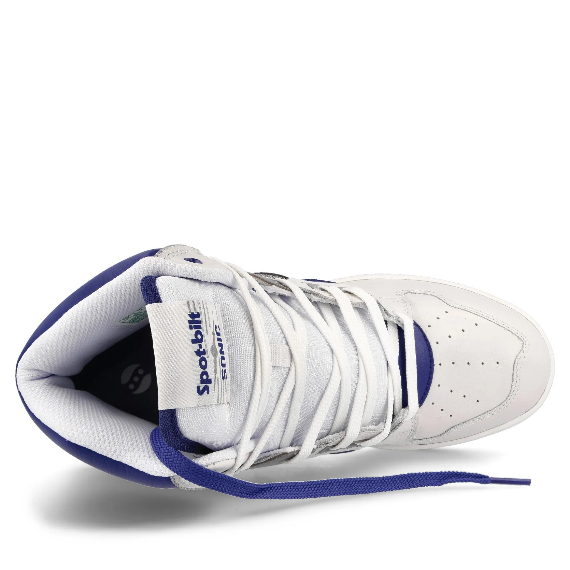 Clearance Sonic High High Tops|Basketball & Court