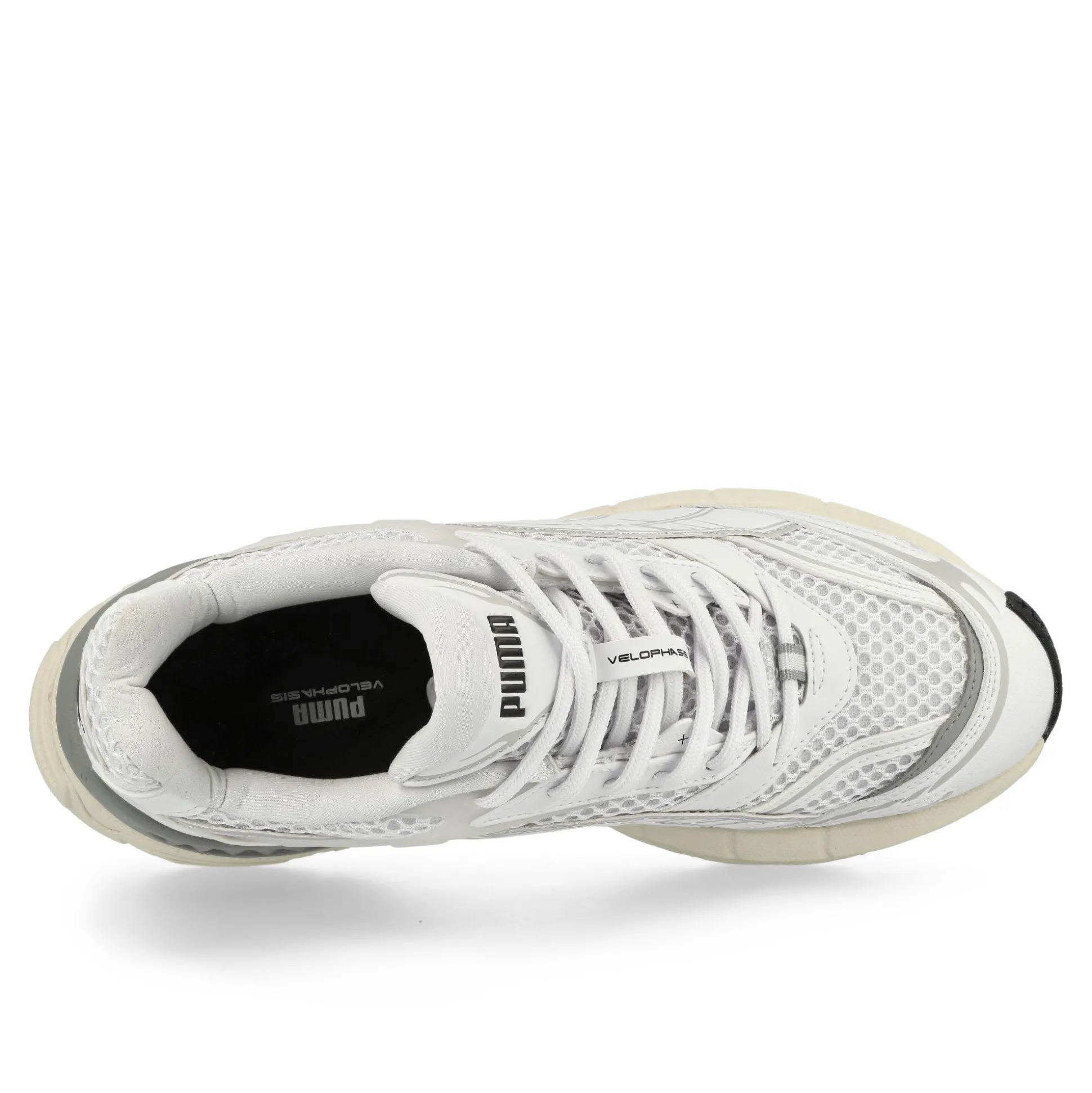 Best Velophasis Women Low Tops|Low Tops